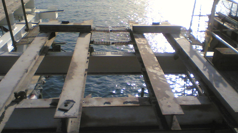 Image(1594) 1